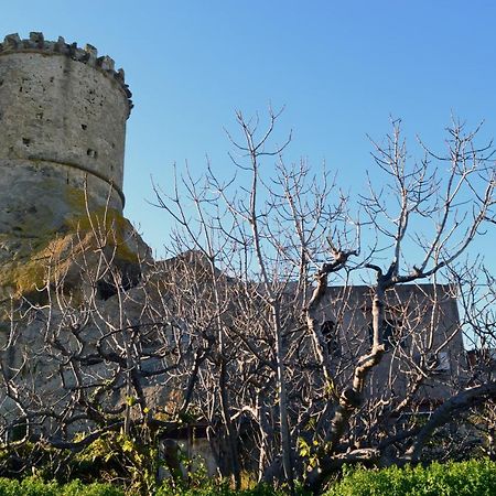 L'Agrumeto Forio (Isola d'Ischia) Exterior foto